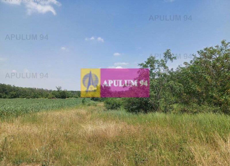 Sabareni, teren 12620 mp pentru case, langa padure