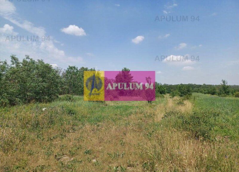 Sabareni, teren 12620 mp pentru case, langa padure